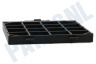 Profilo Stofzuiger 427225, 00427225 Rooster Van uitblaasfilter