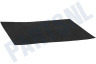 Bosch Stofzuiger Filter Uitblaas