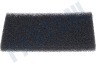 Bosch Stofzuiger Filter Uitblaas