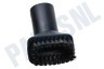 Bosch Stofzuiger Plumeau