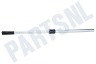 Nilfisk Stofzuiger Telescoopbuis 32mm Elite Serie