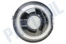 Dyson Stofzuiger 914797-01 Dyson Stofreservoir Bodemklep