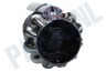Dyson Stofzuiger 969822-09 Dyson Cycloon V10