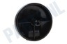 Samsung Stofzuiger DJ66-00151C Zwenkwiel Zwenk