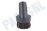 Numatic Stofzuiger Borstel Plumeau 6,5cm