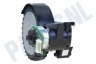 LG Stofzuiger AJW73110501 Wiel Links Robotstofzuiger