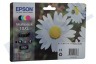 Epson Inktcartridge T1816 Multipack 18XL
