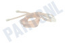 Easyfiks FM-lintantenne, IEC Contra Female 9.5mm, 1.8 Meter