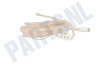 Easyfiks FM-lintantenne, IEC Contra Female 9.5mm, 1.8 Meter
