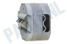 Easyfiks Netwerk Wandcontactdoos 2x RJ45 Female, Opbouw