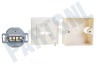 Easyfiks Netwerk Wandcontactdoos 2x RJ45 Female, Opbouw