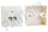 Easyfiks Netwerk Wandcontactdoos 2x RJ45 Female, Opbouw