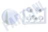 Universeel Knop Van oven, fornuis, kookplaat wit