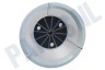 Braun Zeef filter voor sapcentrifuge