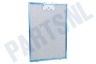 Bosch Afzuigkap 742967, 00742967 Metalen Vetfilter 265x388mm