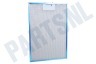 Bosch Afzuigkap 742967, 00742967 Metalen Vetfilter 265x388mm