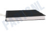 Balay Afzuigkap 360732, 00360732 Filter Koolstof met lip