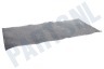 Bosch Afzuigkap 460118, 00460118 Filter Metaal