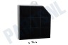 Superser Afzuigkap 299600, 00299600 Filter Koolstof 253x245x46mm