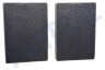 Bosch Afzuigkap LZ53050 Filter