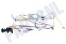 Siemens Koffiezetapparaat 12004535 Verwarmingselement Doorstroomelement