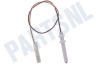 Atag Kookplaat Bougie Met Kabel