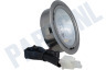 Pelgrim Afzuigkap 23803 Lamp Spotje 20W Halogeen, RVS Rand