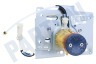 DeLonghi Koffiezetapparaat 5513227991 Zetgroep Zuiger
