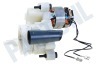 DeLonghi Koffiezetapparaat AS00002955 Maalwerk