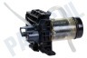 DeLonghi Koffiezetapparaat Mechanische klep van zetgroep