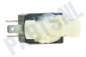 DeLonghi Koffiezetapparaat 5213218261 Magneetventiel