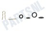 DeLonghi Koffiezetapparaat 5513225701 Magneetventiel