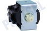 Alternatief Koffiezetapparaat Pomp 65 Watt