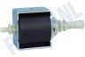 Alternatief Koffiezetapparaat Pomp 65 Watt