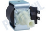 Alternatief Koffiezetapparaat Pomp 65 Watt