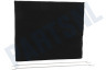 Bauknecht Afzuigkap Filter Koolstof 290x250mm