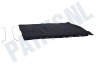 Whirlpool Afzuigkap Koolstoffilter Type 31