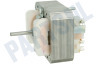 Elica Oven-Magnetron Motor van ventilator, links draaiend