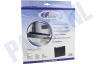 Whirlpool Afzuigkap Filter Koolstof 225x210x30mm