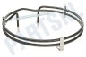 Bauknecht Oven-Magnetron Verwarmingselement 1700W Hete lucht