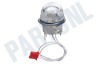 Whirlpool Oven-Magnetron Lamp
