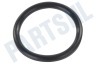 Philips Biertap HD5001/01 O-ring Van kraan/tap