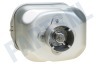 Moulinex Broodbakmachine Bakblik Van broodbakmachine