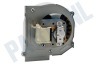 Atag Oven-Magnetron Motor Ventilatie
