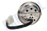 Pelgrim Afzuigkap 851148 Lamp