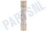 Samsung Oven-Magnetron 3601-000448 10A Zekering