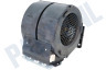Alno Afzuigkap 50268802001 Motor Afzuigkap