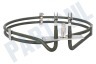 Rex Oven-Magnetron Verwarmingselement 2000W Hete lucht