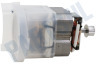 DeLonghi Motor Aandrijfmotor