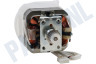 DeLonghi Motor Aandrijfmotor